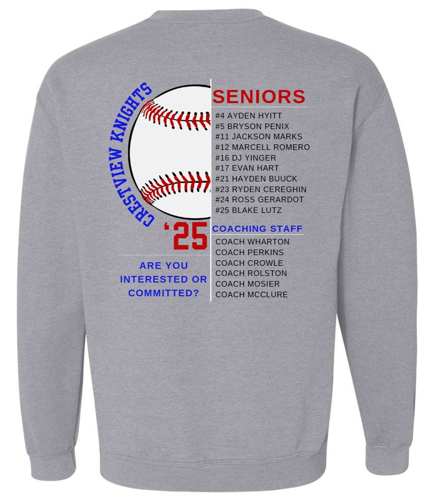Knights Baseball Gildan Heavy Blend Crewneck