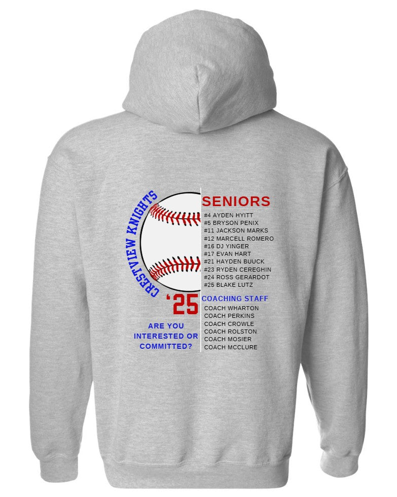 Knights Baseball Gildan Heavy Blend Hoodie